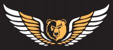 Shelbyville Golden Bears