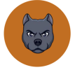 Plainfield Pitbulls Run Club
